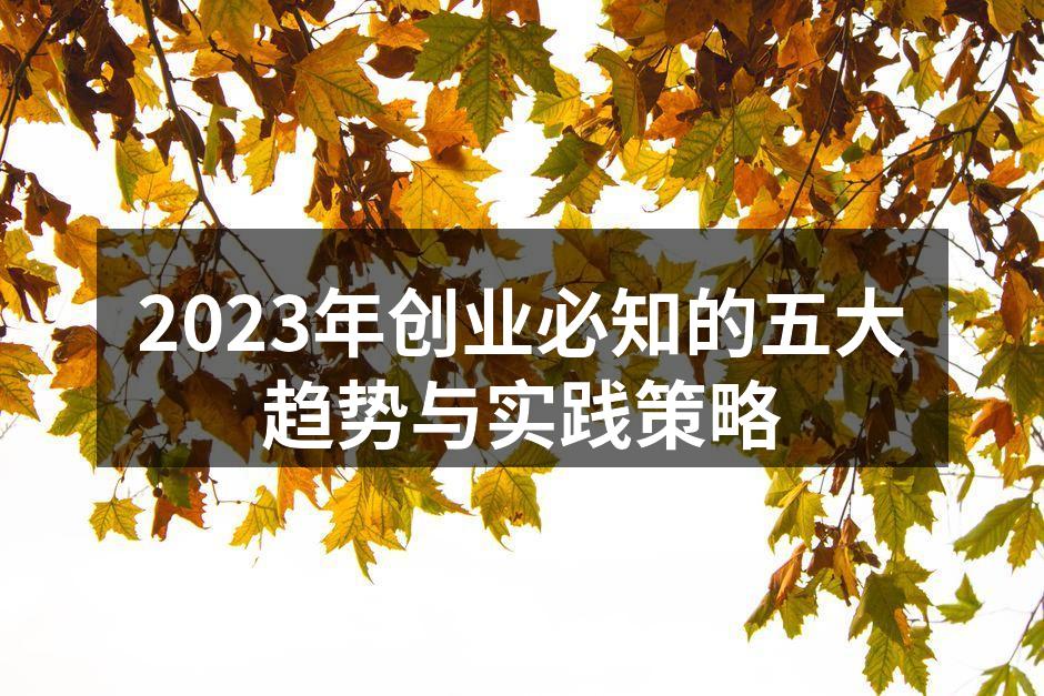 2023年创业必知的五大趋势与实践策略